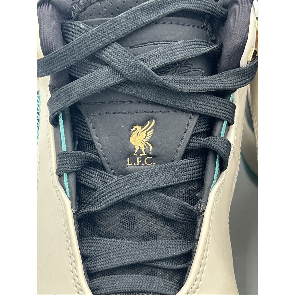 Nike LeBron NXXT Gen AMPD Sneaker Liverpool LFC Orewood Teal Kids 3.5 - Picture 7 of 14